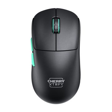 Mouse