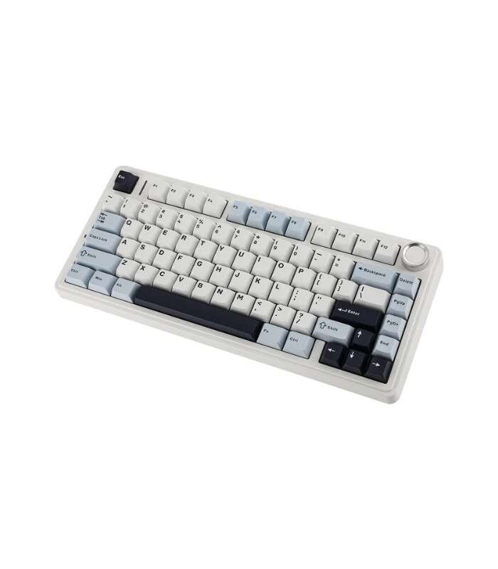 NZCART Gaming Store 44 Aula f75 1 resized